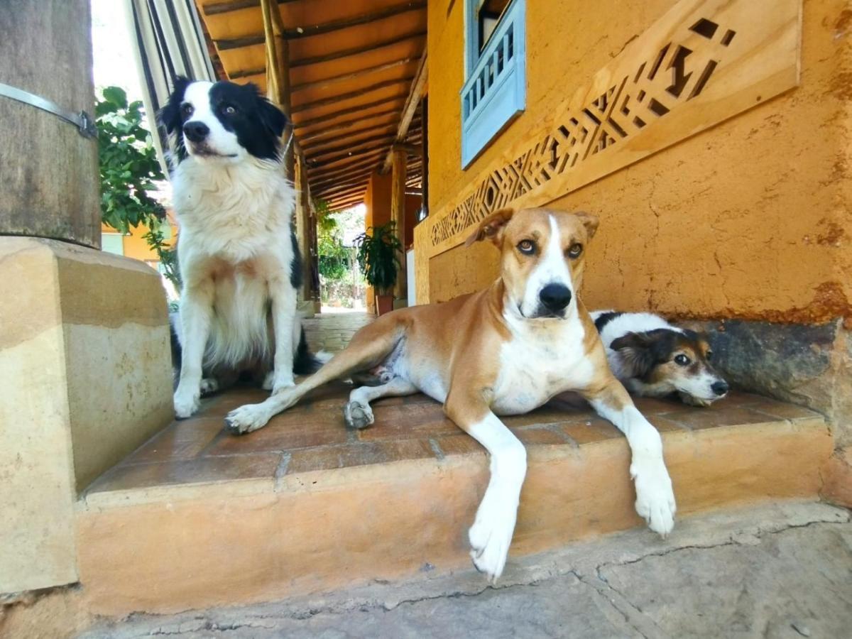 Nomad Hostal - Barichara Dış mekan fotoğraf