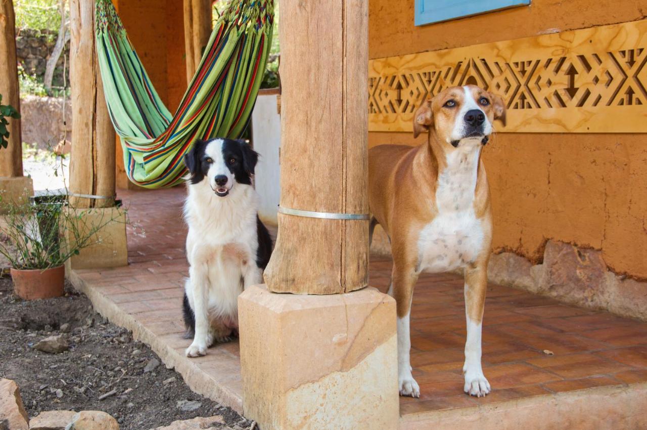 Nomad Hostal - Barichara Dış mekan fotoğraf